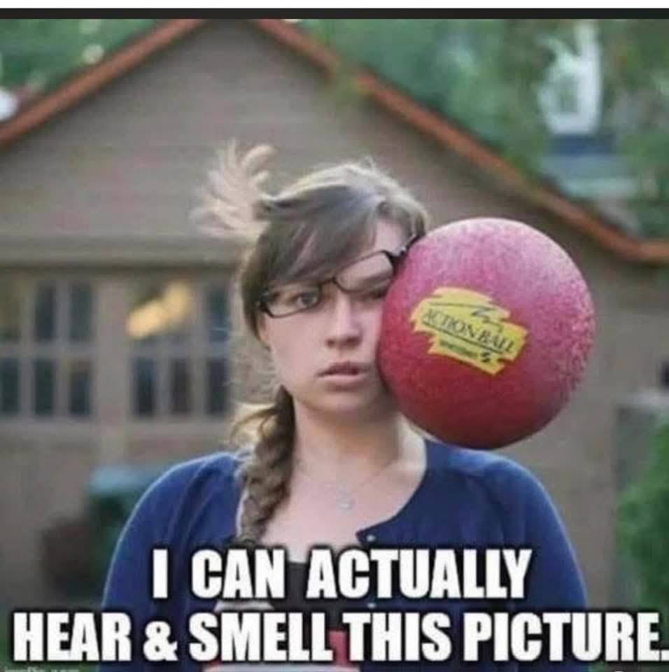 Hear and smell this meme template