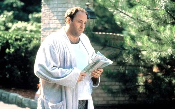 Tony Soprano getting the newspaper in a bathrobe meme template — face swap your selfie into it with YouInMeme